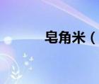 皂角米（說一說皂角米的簡介）