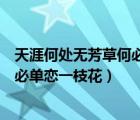 天涯何處無(wú)芳草何必單戀一枝花的意思（天涯何處無(wú)芳草何必單戀一枝花）