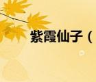紫霞仙子（說一說紫霞仙子的簡(jiǎn)介）