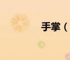 手掌（說一說手掌的簡介）