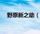 野原新之助（說一說野原新之助的簡介）