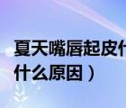 夏天嘴唇起皮什么原因引起的（夏天嘴唇起皮什么原因）