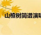 山楂樹簡譜演唱（山楂樹簡譜歌譜完整版）