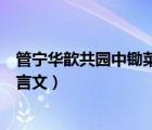 管寧華歆共園中鋤菜翻譯及文言文閱讀答案（管寧與華歆文言文）