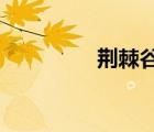 荊棘谷的青山一共多少頁(yè)