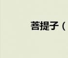 菩提子（說一說菩提子的簡介）