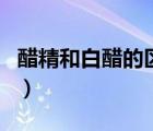 醋精和白醋的區(qū)別是什么（醋精和白醋的區(qū)別）