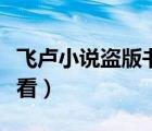 飛盧小說盜版書在哪看（飛盧小說盜版去哪里看）