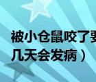 被小倉鼠咬了要不要打狂犬疫苗（被倉鼠咬了幾天會發(fā)?。?/>
                                    </a>
                                                </div>
                                    <div   id=