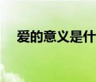 愛的意義是什么意思（愛的意義是什么）