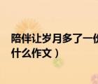 陪伴讓歲月多了一份什么作文800字（陪伴讓歲月多了一份什么作文）