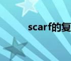 scarf的復(fù)數(shù)（scarf的復(fù)數(shù)形式）