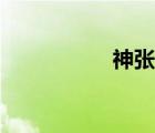 神張角圖片（神張角）