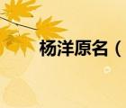 楊洋原名（說一說楊洋原名的簡介）