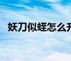 妖刀似蛭怎么升級血刀（妖刀似蛭合成不）