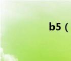 b5（說一說b5的簡介）