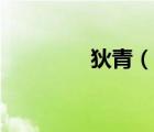 狄青（說(shuō)一說(shuō)狄青的簡(jiǎn)介）