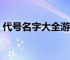 代號(hào)名字大全游戲名字大全（代號(hào)名字大全）