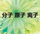 分子 原子 離子 電子（分子原子離子關(guān)系圖）