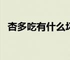 杏多吃有什么壞處（杏吃多了有什么壞處）