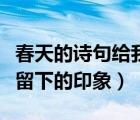 春天的詩句給我留下的印象（春天的詩文給你留下的印象）