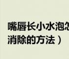 嘴唇長小水泡怎么快速好（嘴唇長小水泡快速消除的方法）