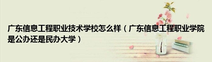 廣東信息工程職業(yè)技術學校怎么樣（廣東信息工程職業(yè)學院是公辦還是民辦大學）