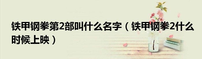 鐵甲鋼拳第2部叫什么名字（鐵甲鋼拳2什么時候上映）