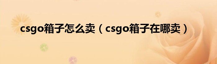 csgo箱子怎么賣（csgo箱子在哪賣）