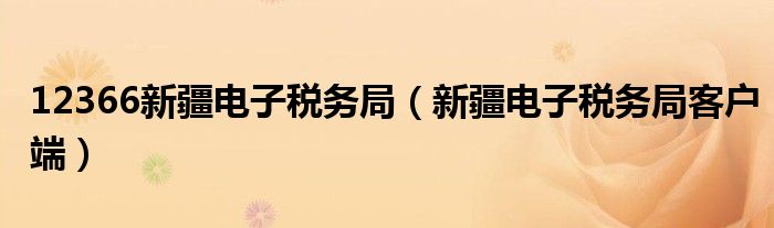 12366新疆電子稅務(wù)局（新疆電子稅務(wù)局客戶端）
