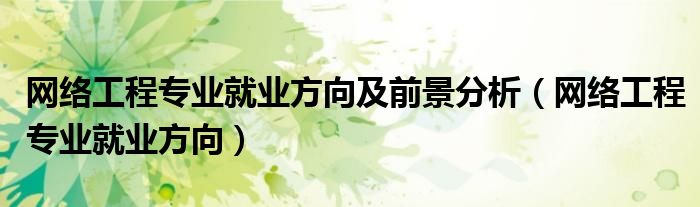 網(wǎng)絡(luò)工程專業(yè)就業(yè)方向及前景分析（網(wǎng)絡(luò)工程專業(yè)就業(yè)方向）