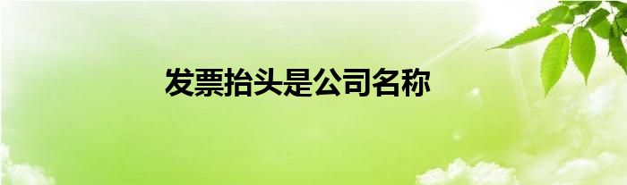 發(fā)票抬頭是公司名稱