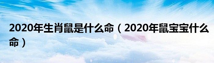 2020年生肖鼠是什么命（2020年鼠寶寶什么命）