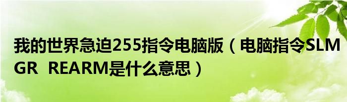 我的世界急迫255指令電腦版（電腦指令SLMGR  REARM是什么意思）
