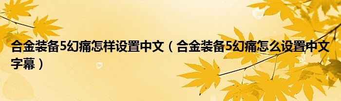 合金裝備5幻痛怎樣設(shè)置中文（合金裝備5幻痛怎么設(shè)置中文字幕）