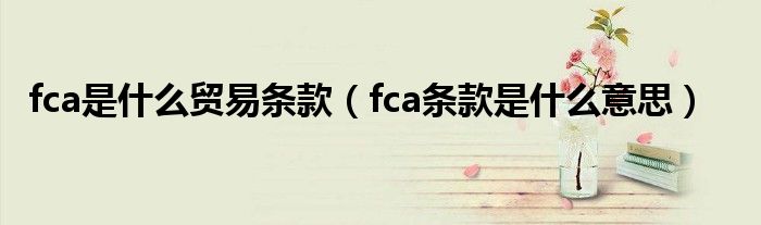 fca是什么貿(mào)易條款（fca條款是什么意思）