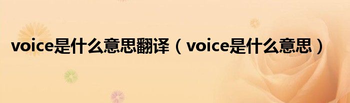 voice是什么意思翻譯（voice是什么意思）