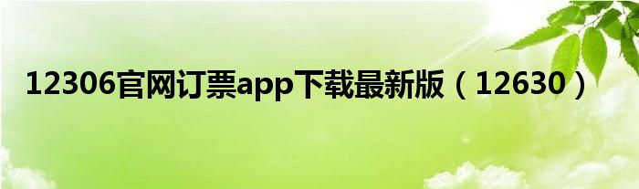 12306官網(wǎng)訂票app下載最新版（12630）