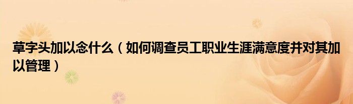 草字頭加以念什么（如何調(diào)查員工職業(yè)生涯滿意度并對(duì)其加以管理）