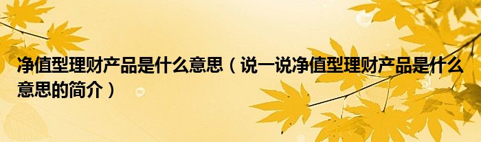 凈值型理財(cái)產(chǎn)品是什么意思（說一說凈值型理財(cái)產(chǎn)品是什么意思的簡(jiǎn)介）