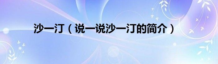 沙一?。ㄕf一說沙一汀的簡(jiǎn)介）