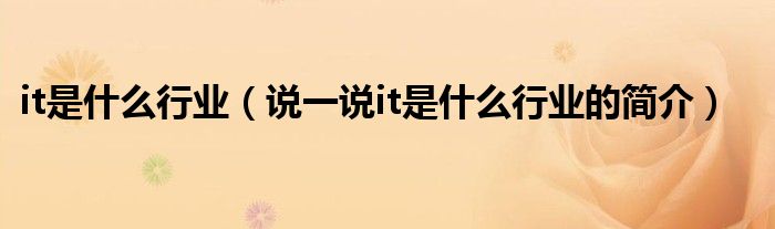 it是什么行業(yè)（說一說it是什么行業(yè)的簡介）