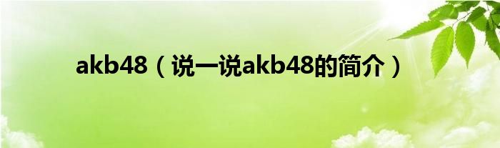akb48（說一說akb48的簡介）