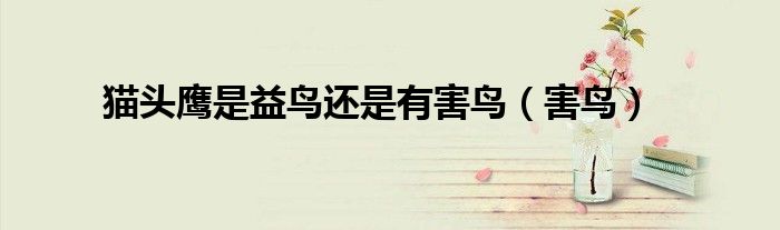 貓頭鷹是益鳥還是有害鳥（害鳥）