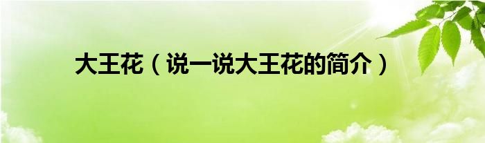 大王花（說一說大王花的簡介）