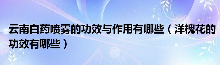 云南白藥噴霧的功效與作用有哪些（洋槐花的功效有哪些）