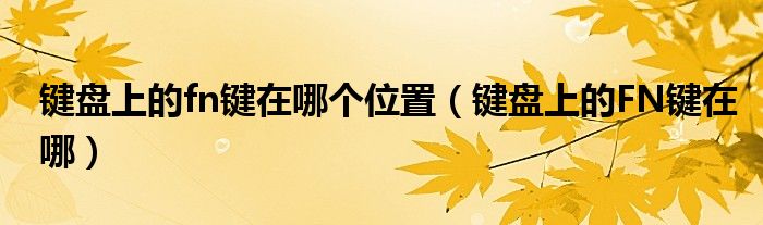 鍵盤上的fn鍵在哪個位置（鍵盤上的FN鍵在哪）