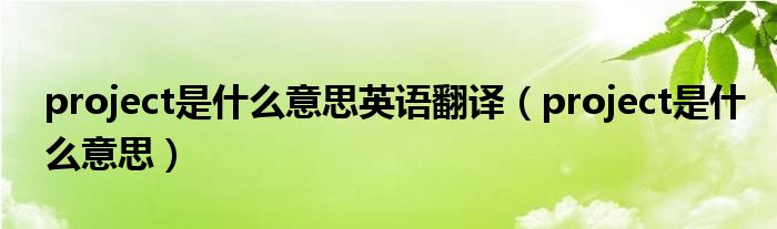 project是什么意思英語(yǔ)翻譯（project是什么意思）