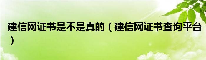 建信網(wǎng)證書是不是真的（建信網(wǎng)證書查詢平臺）