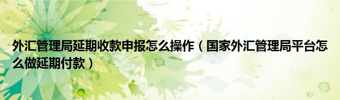 外匯管理局延期收款申報怎么操作（國家外匯管理局平臺怎么做延期付款）